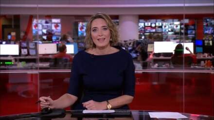 Lucy Williamson BBC News: Career, Age, Education & Biography