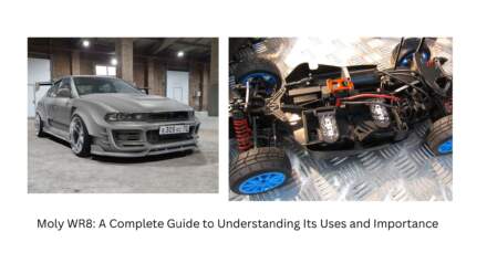 Moly WR8: A Complete Guide to Understanding Its Uses and Importance