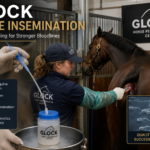 Glock Horse Insemination: What the Term Really Means